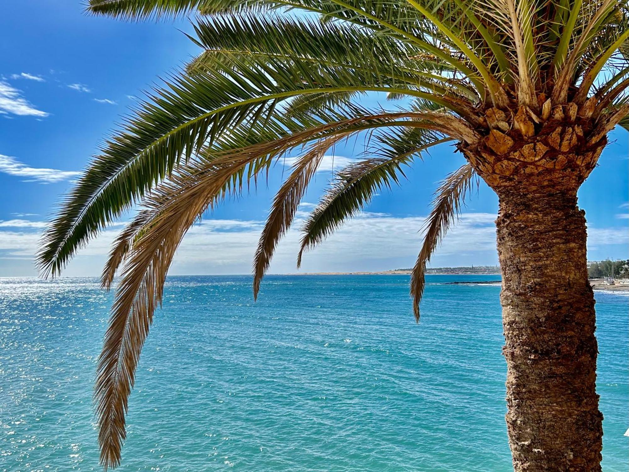 Sobre El Mar Con Vistas A Las Dunas De Maspalomas San Agustín 外观 照片